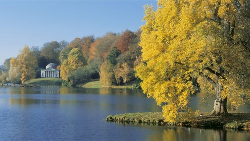 Light on a tulip tree on an island in the lake at Stourhead, Wiltshire